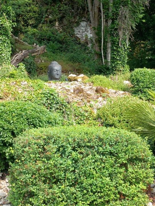 Les Allumettes D'Ecorsaint Kültér fotó