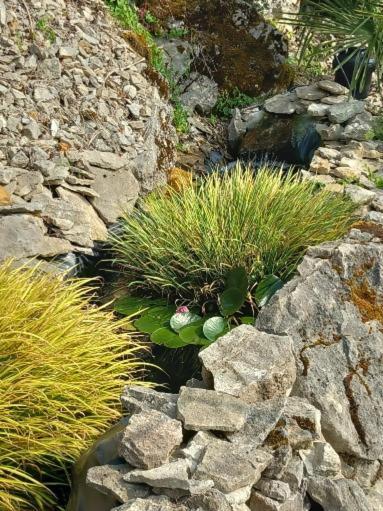 Les Allumettes D'Ecorsaint Kültér fotó